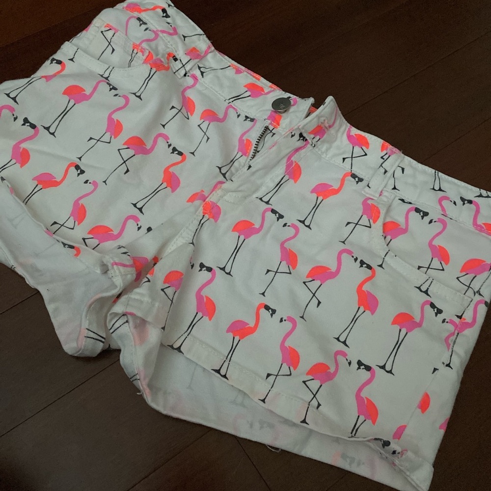 Flamingo shorts